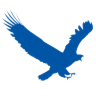 EagleGet 2.0.3.3